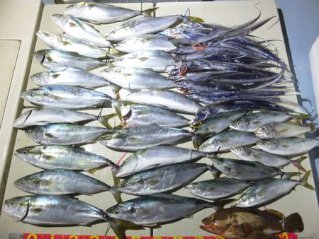 Hit Rush(ヒット ラッシュ） 釣果…