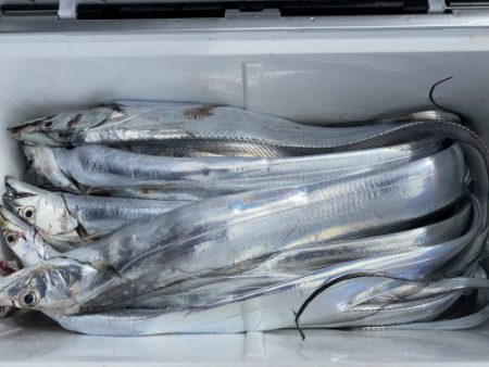 釣船 浦島太郎 釣果