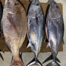 釣船 浦島太郎 釣果