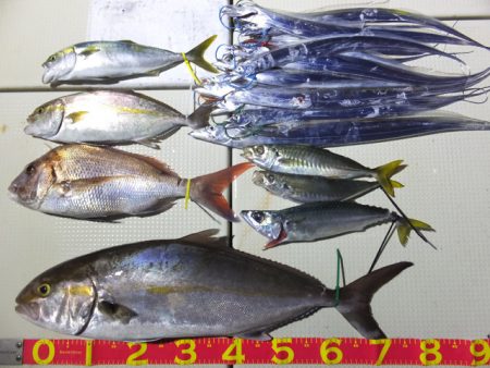 Hit Rush(ヒット ラッシュ） 釣果…