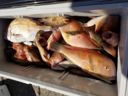 釣船 浦島太郎 釣果