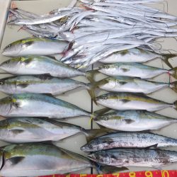 Hit Rush(ヒット ラッシュ) 釣果