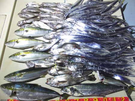 Hit Rush(ヒット ラッシュ） 釣果…