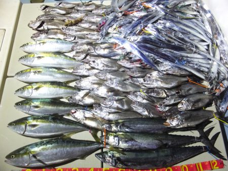 Hit Rush(ヒット ラッシュ） 釣果…