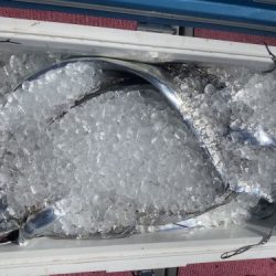 釣船 浦島太郎 釣果