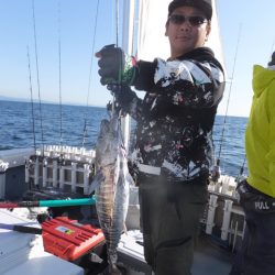 Hit Rush(ヒット ラッシュ) 釣果