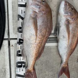 釣船 浦島太郎 釣果