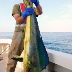 ジギング船 BLUEWATER 釣果