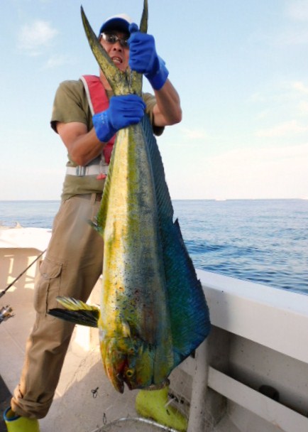 ジギング船 BLUEWATER 釣果