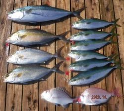 優誠丸 釣果