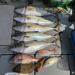 sea boss シーボス 釣果