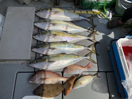 sea boss シーボス 釣果