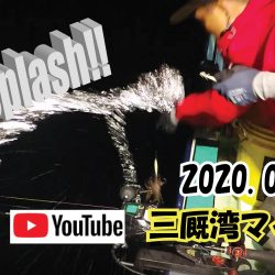 釣り船一番星 釣果