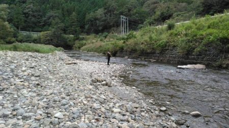 大井川（大井川(非)漁業協同組合） 釣果