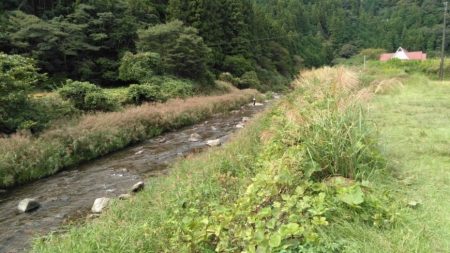 大井川（大井川(非)漁業協同組合） 釣果