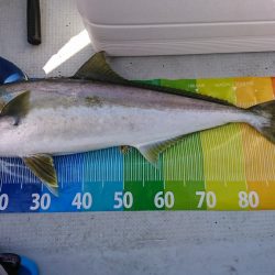 海龍丸(福岡) 釣果