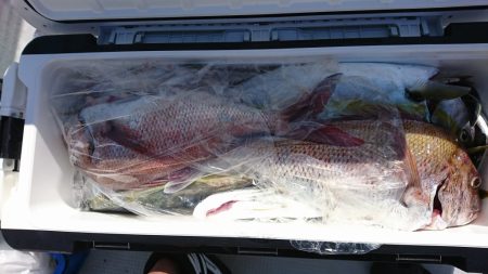 海龍丸(福岡) 釣果