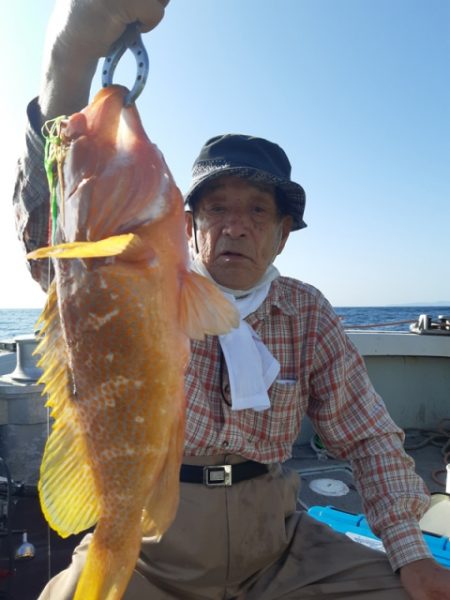 飛燕さくら丸 釣果
