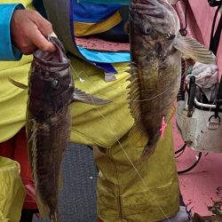 第八平成丸 釣果