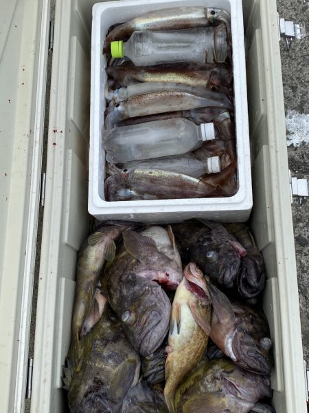 第八平成丸 釣果