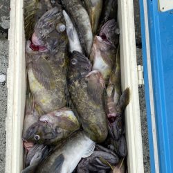 第八平成丸 釣果