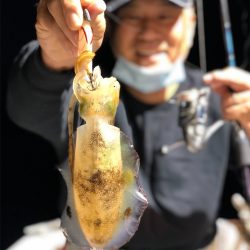 シーマン 釣果