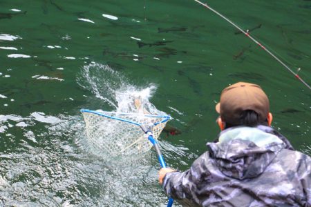 小菅トラウトガーデン 釣果