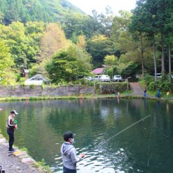 小菅トラウトガーデン 釣果