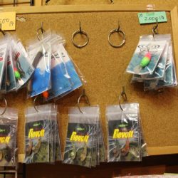 小菅トラウトガーデン 釣果