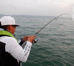 遊漁船 幸友丸 釣果