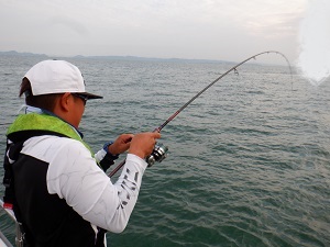 遊漁船 幸友丸 釣果