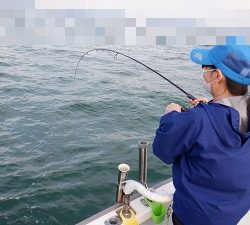 遊漁船 幸友丸 釣果