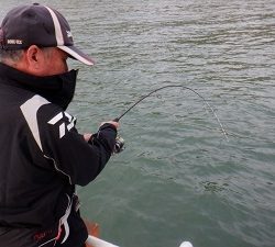 遊漁船 幸友丸 釣果