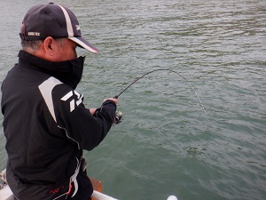 遊漁船 幸友丸 釣果