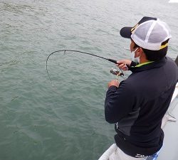 遊漁船 幸友丸 釣果