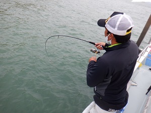 遊漁船 幸友丸 釣果