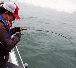 遊漁船 幸友丸 釣果