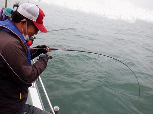 遊漁船 幸友丸 釣果