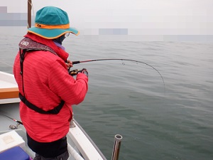 遊漁船 幸友丸 釣果