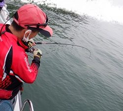 遊漁船 幸友丸 釣果