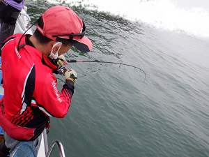 遊漁船 幸友丸 釣果