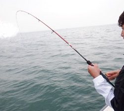 遊漁船 幸友丸 釣果