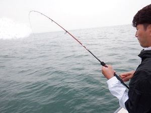 遊漁船 幸友丸 釣果