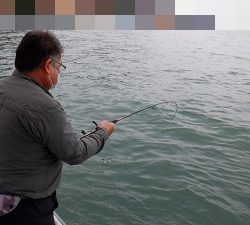 遊漁船 幸友丸 釣果