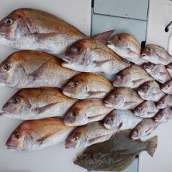 遊漁船 幸友丸 釣果