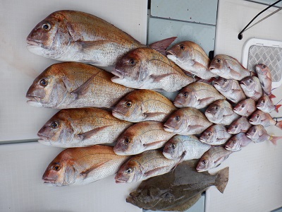 遊漁船 幸友丸 釣果