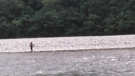 大井川(大井川(非)漁業協同組合) 釣果