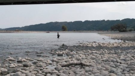 大井川(大井川(非)漁業協同組合) 釣果