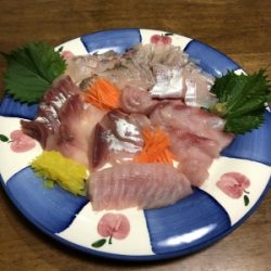 大宝丸 釣果