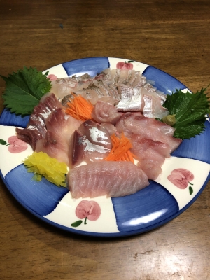 大宝丸 釣果